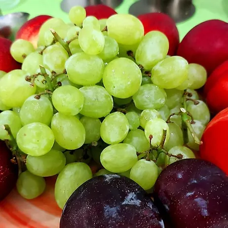 Senza Pensieri 3* Riccione