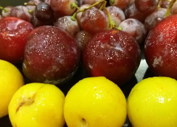 Senza Pensieri 호텔 리치오네